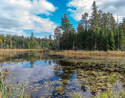 Renfrew County